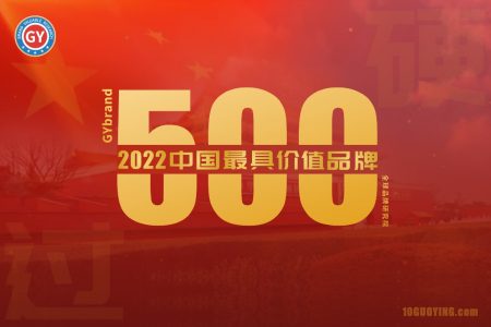 2022年度中国最具价值品牌500强排行榜